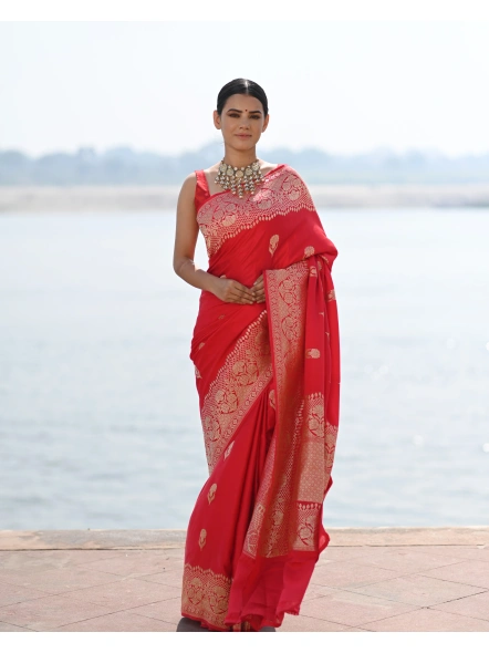 climaxsaree